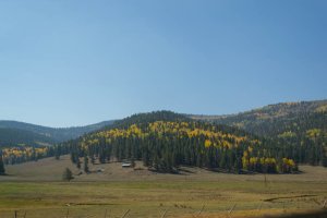 20201020FallColors2020079.jpg
